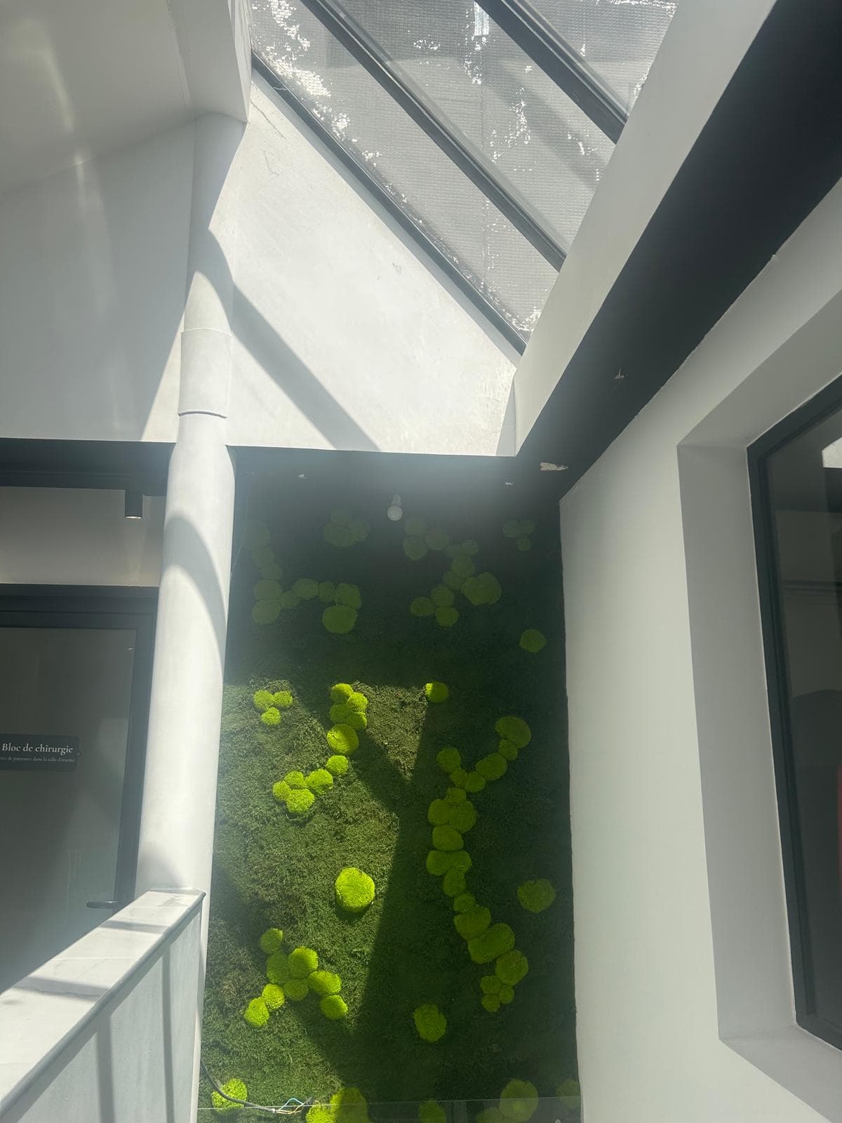 Mur végétal et lumière naturelle du cabinet